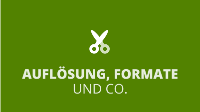 Camtasia-Shorts: Auflösung, Formate und Co.