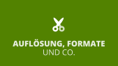 Camtasia-Shorts: Auflösung, Formate und Co.