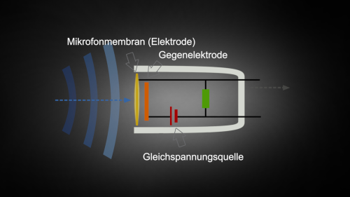 Vorführungen
